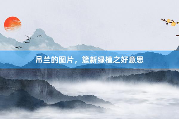 吊兰的图片，簇新绿植之好意思